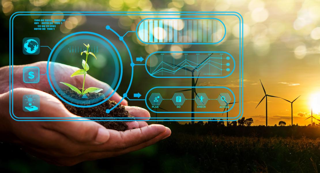 Cupped hands holding soil and small green plant
