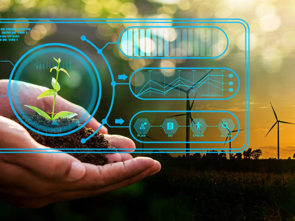 Cupped hands holding soil and small green plant